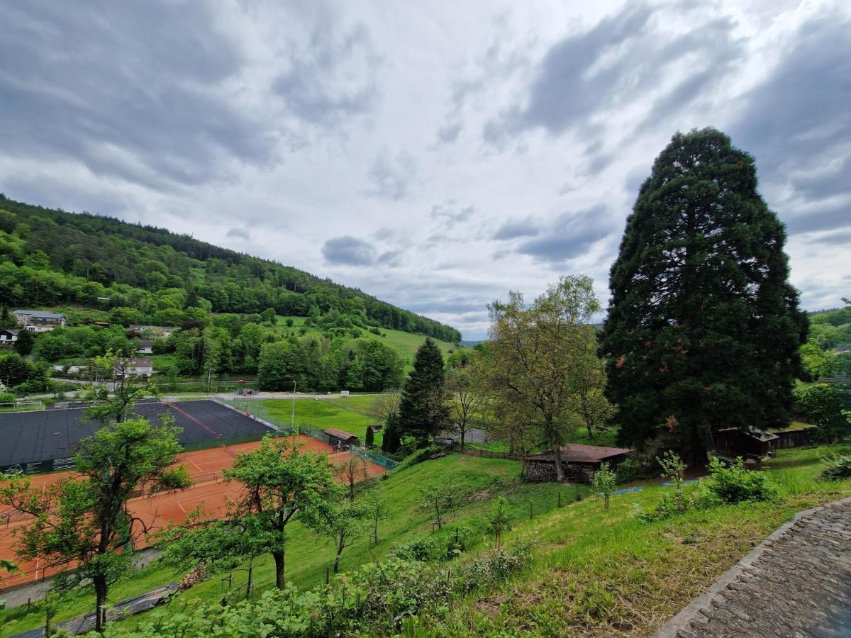 Ferienhaus Heinz Heiligkreuzsteinach Dış mekan fotoğraf