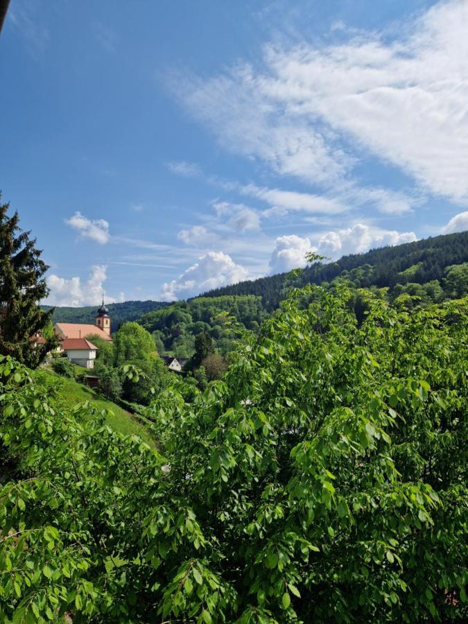 Ferienhaus Heinz Heiligkreuzsteinach Dış mekan fotoğraf